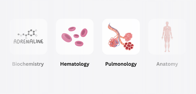 We are what you need